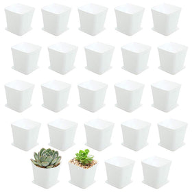 OJYUDD 24-pack white square pots with saucers for organized watering.