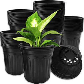 OJYUDD 60-pack 1-gallon pot front view demonstrates durable soft plastic for seed starting.