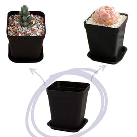OJYUDD black square pot on windowsill for compact display.