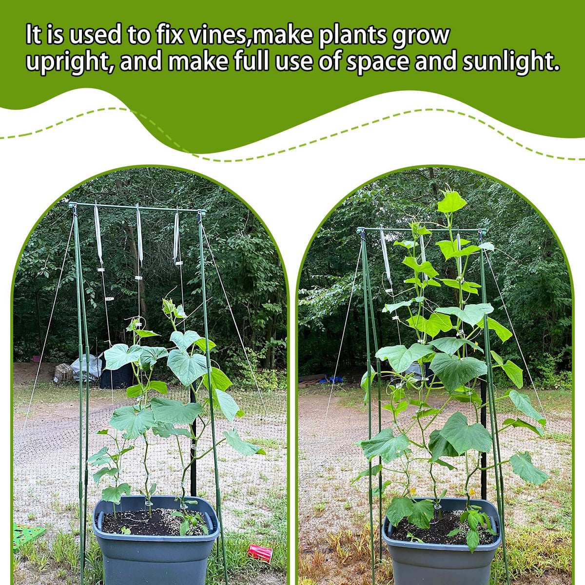OJYUDD climbing plant hooks keep cucumbers and peppers upright