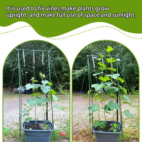 OJYUDD climbing plant hooks keep cucumbers and peppers upright