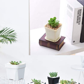 OJYUDD compact nursery pots suitable for starting seedlings indoors.