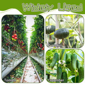OJYUDD plant clips fix vines quickly for space optimization