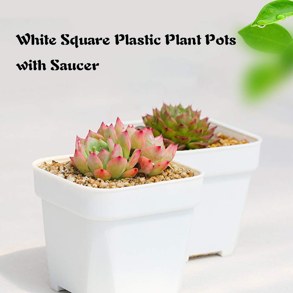 OJYUDD DIY-friendly planters with markable surfaces for labeling and decoration.