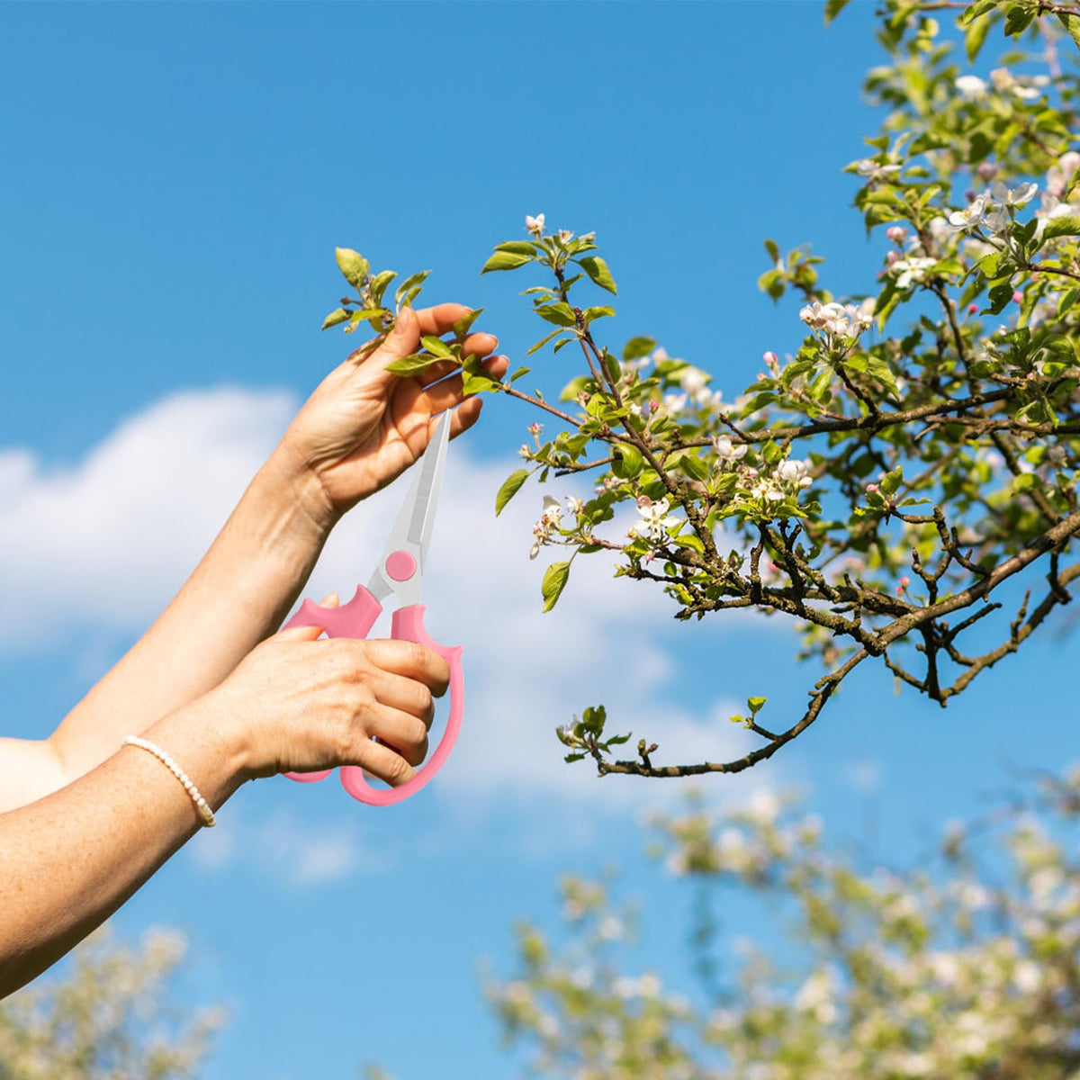 OJYUDD maintenance-ready flower shears easy to clean and protect