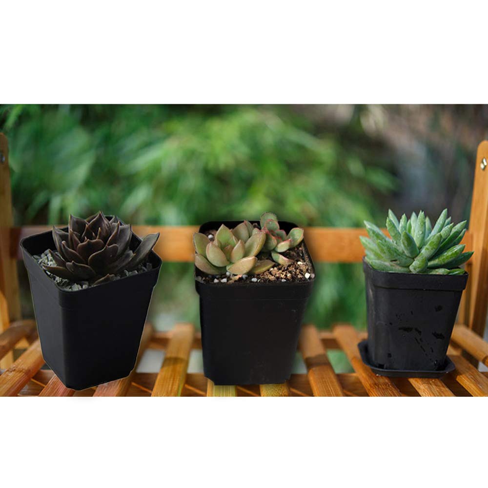 OJYUDD versatile indoor/outdoor pots for home or office use.