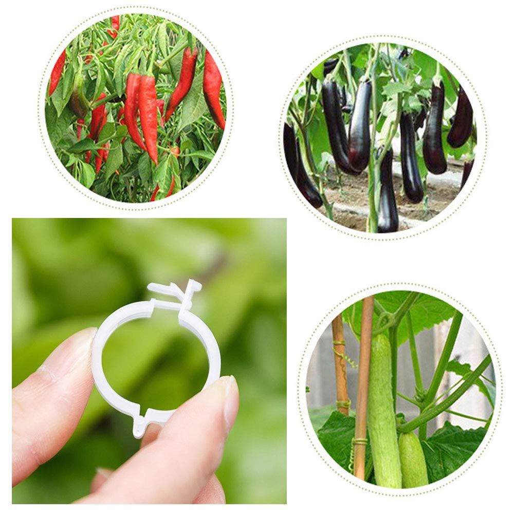 OJYUDD orchid-friendly clip for sturdy stems.