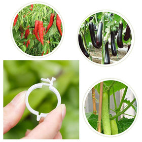 OJYUDD orchid-friendly clip for sturdy stems.