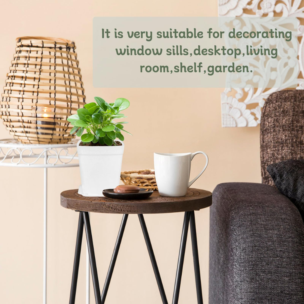 OJYUDD pots fit succulents, herbs, and small plants for indoor display