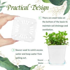 OJYUDD seedling pots on window sill ideal for starting herbs and small plants