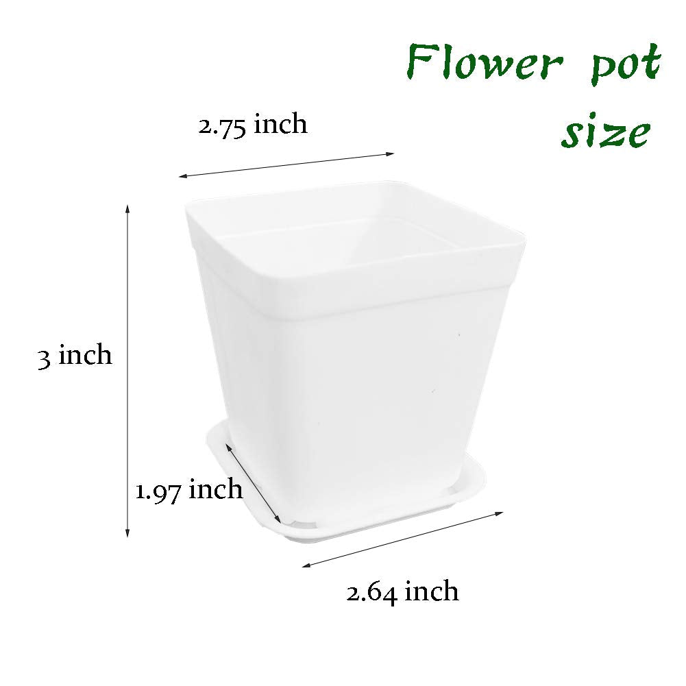 OJYUDD seedling pots with drainage holes promote healthy root airflow.