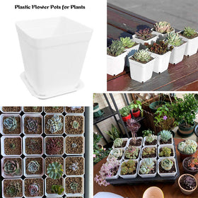 OJYUDD sturdy plastic pots for transplant-ready seedlings and gifts.
