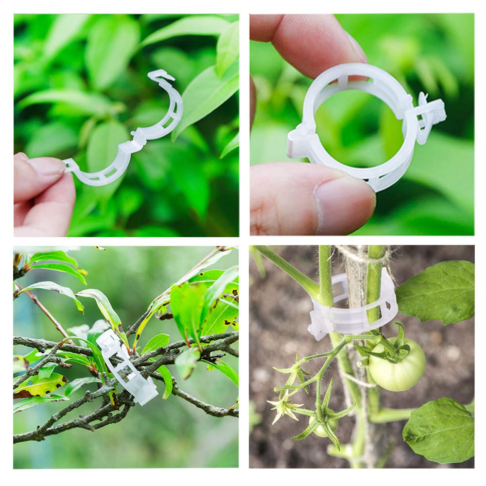 OJYUDD upward-growth support for tomato and cucumber plants.