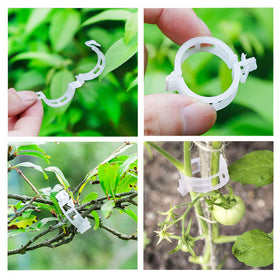 OJYUDD upward-growth support for tomato and cucumber plants.