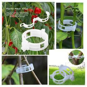 OJYUDD vine-stem attachment clip supports upward growth.