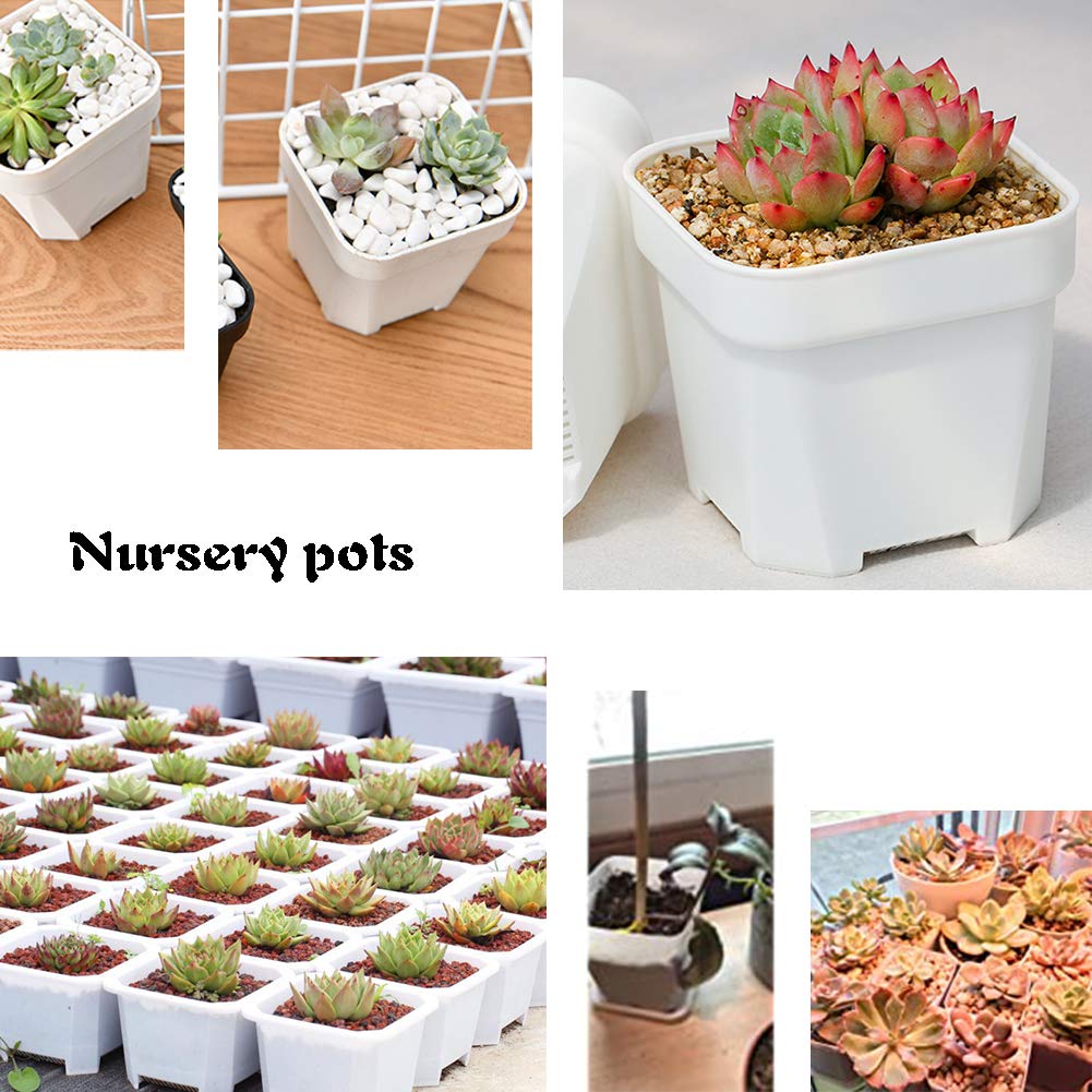 OJYUDD white plastic square planter ideal for succulents and small plants.