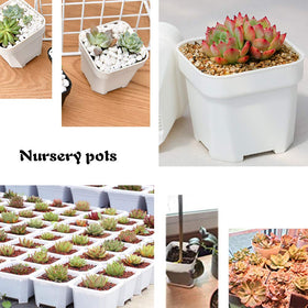OJYUDD white plastic square planter ideal for succulents and small plants.