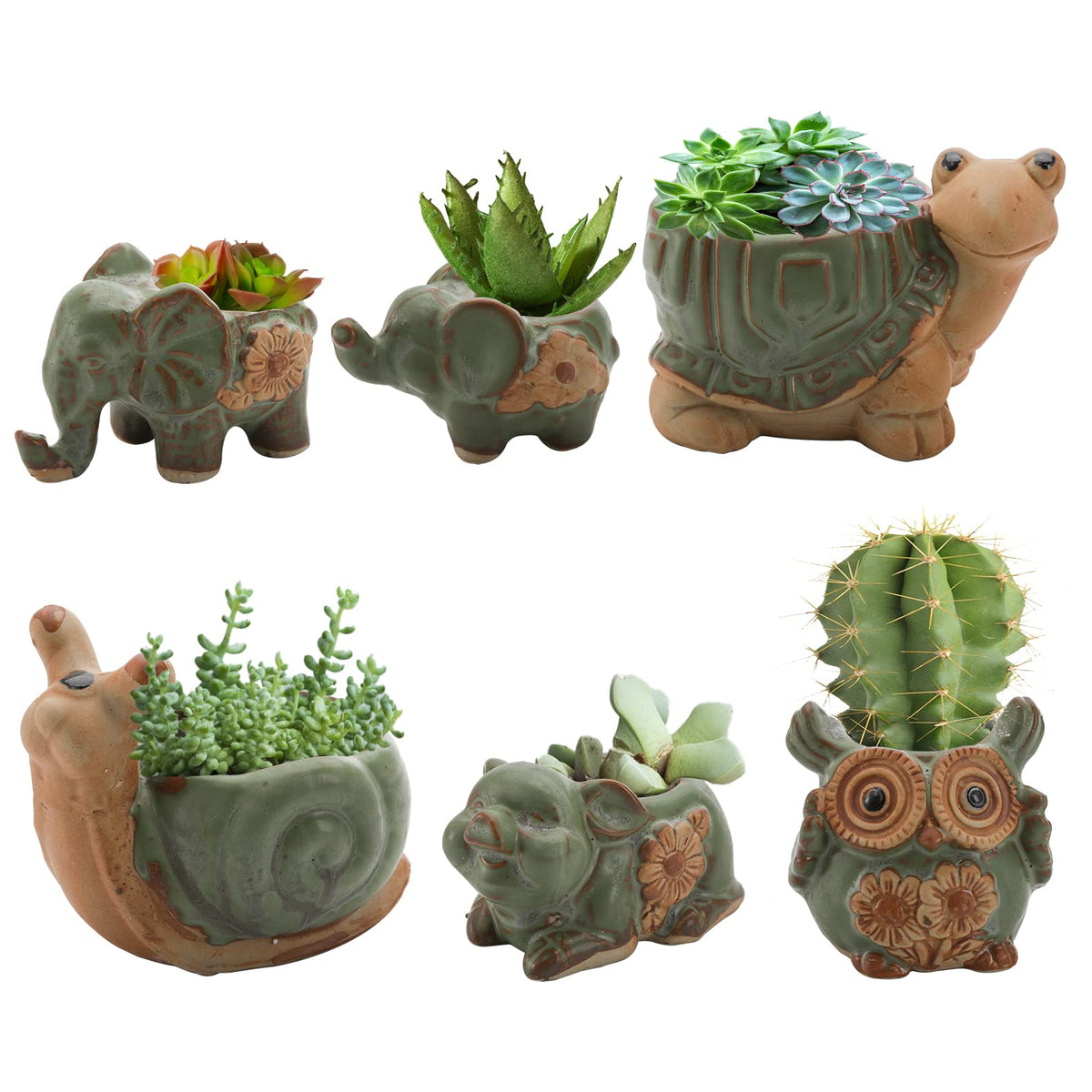 Okllen owl planter with drainage hole, ideal for compact succulents
