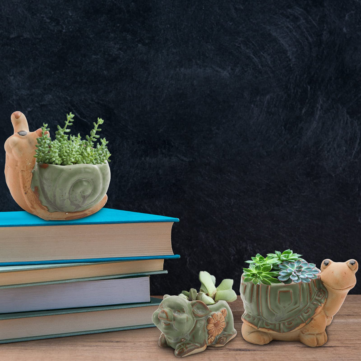Okllen pig planter suited for cute micro greens or trinkets