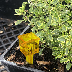 Okllen rain gauge easy read numerals simplify tracking rainfall for irrigation.