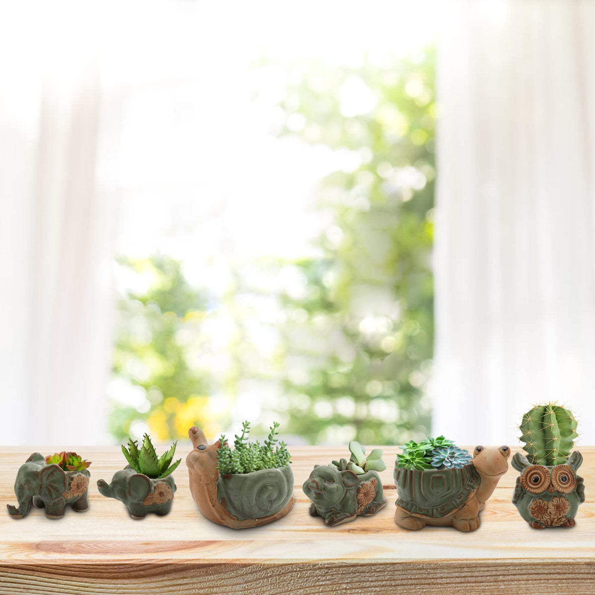 Okllen snail planter featuring gentle curves for trailing plants
