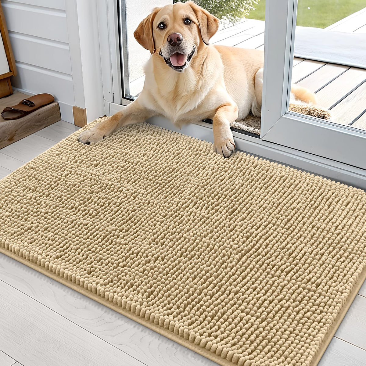 OLANLY dog door mat with muddy paws focus; absorbs moisture to keep entry clean.