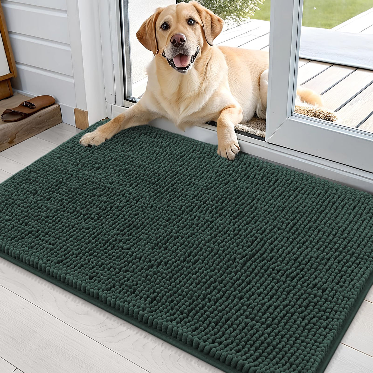 OLANLY dog door mat with muddy paws at entry, captures moisture.