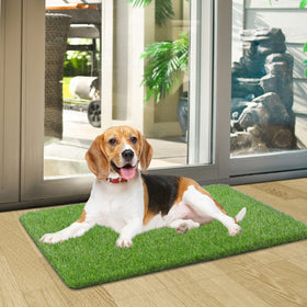 OLanto mat dries quickly in sun, restoring its fresh green appearance