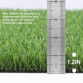 OLanto artificial grass door mat for indoor use with lush turf and easy maintenance