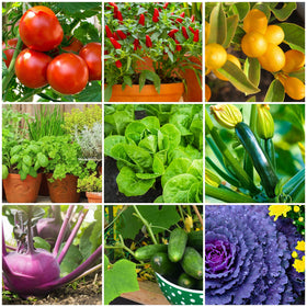 Old Farmer's Almanac mini spikes root-zone dosing supports healthy root development.
