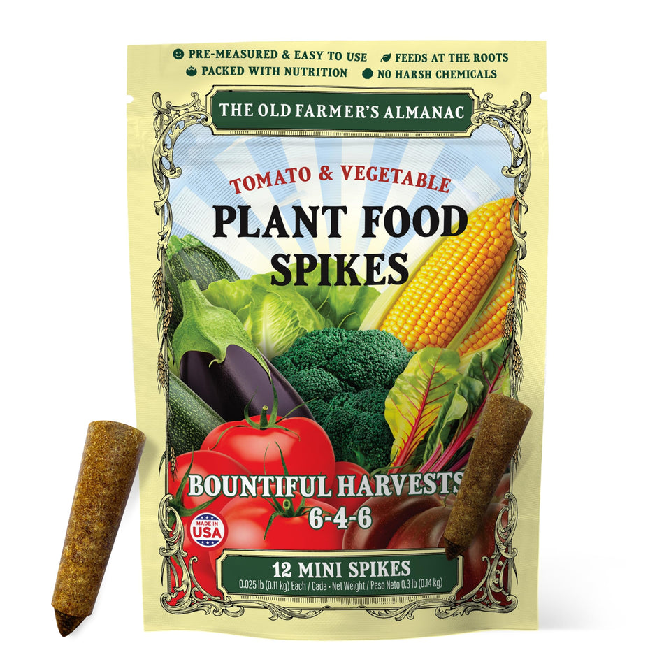 The Old Farmer's Almanac mini spike for tomatoes delivering root-zone nutrition.