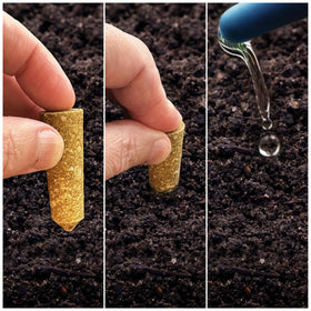 Old Farmer's Almanac spikes are easy to press in, cap-free for quick use.