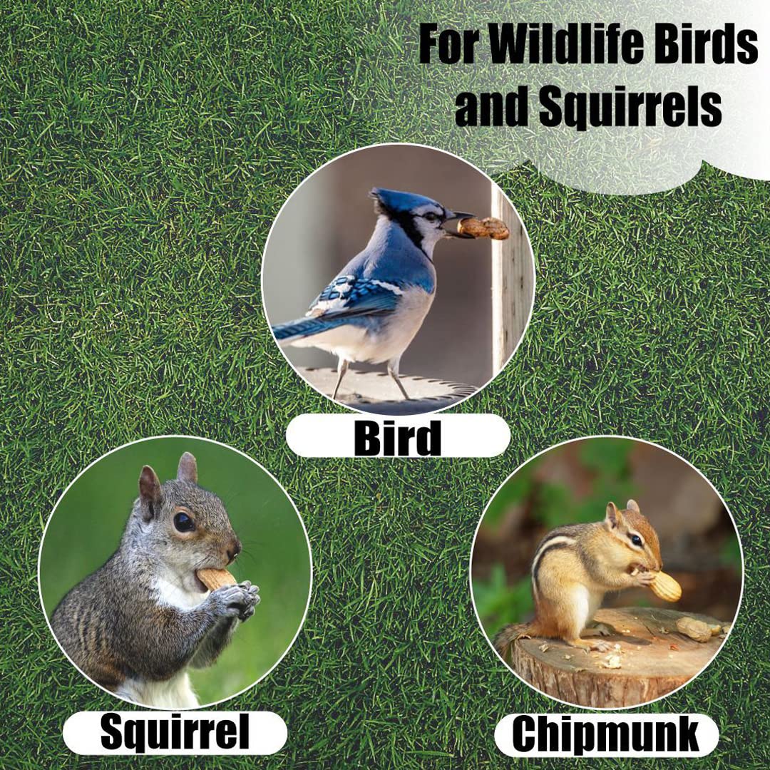 Backyard wildlife enrichment with Old Potters in-shell peanuts.