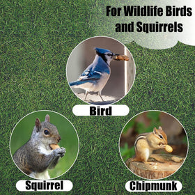 Backyard wildlife enrichment with Old Potters in-shell peanuts.
