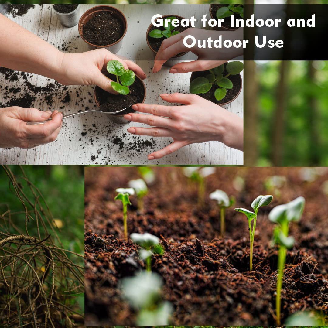 Old Potters peat moss indoors supports healthy container plants.
