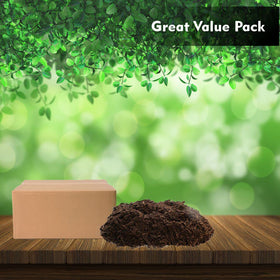 Old Potters peat moss outdoors helps moisture control in pots.