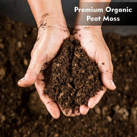 Old Potters peat moss seed-starting tray supports healthy root growth.