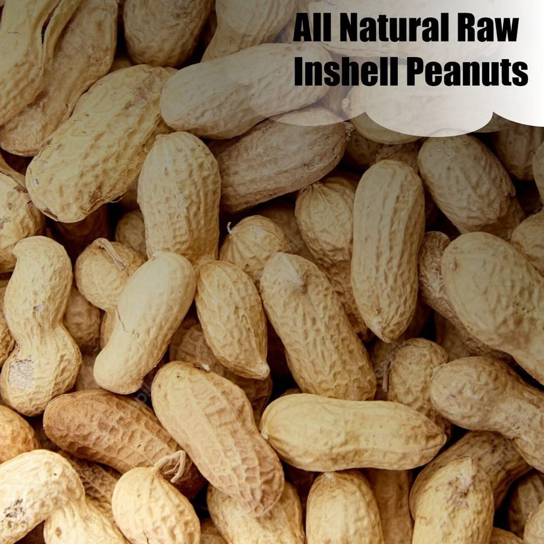 Old Potters shell-on peanuts support foraging in the wild.