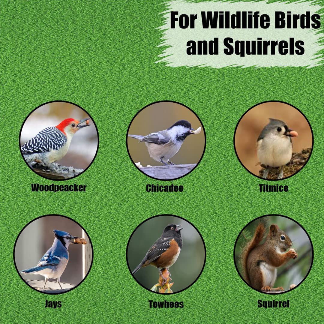 Old Potters Wildlife Grade Peanuts closeup, premium quality snack for feathered visitors and critters.
