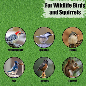 Old Potters Wildlife Grade Peanuts closeup, premium quality snack for feathered visitors and critters.