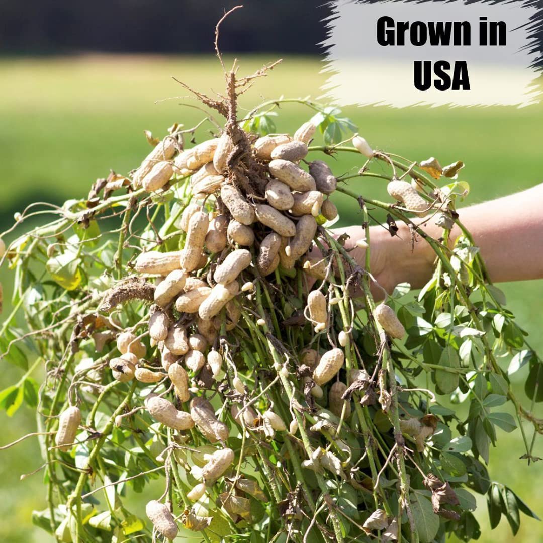 Old Potters wildlife shelled peanuts display USA-grown non-GMO peanuts.