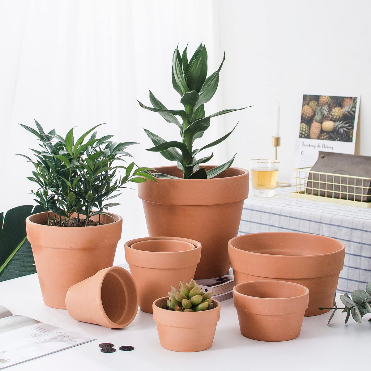 Gift idea: OLEEP clay pots suit weddings, home decor, or office spaces.