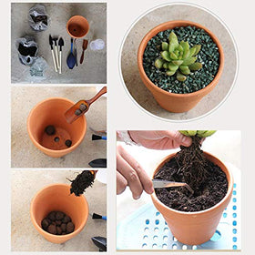Outdoor garden setup with OLEEP terracotta planters for versatile planting.