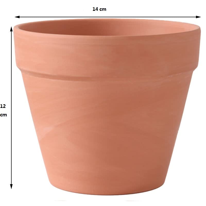 OLEEP 10-pack of clay pots ready for gifting or classroom projects.