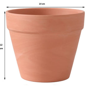 OLEEP 10-pack of clay pots ready for gifting or classroom projects.
