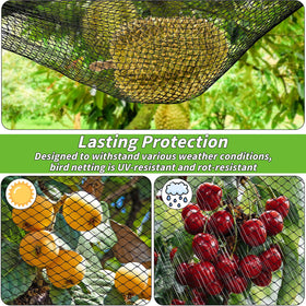 Oleitodh ultra-fine mesh 1/2 inch blocks pests while letting sun through.