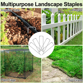Oligei reusable garden stakes can be saved for future projects.
