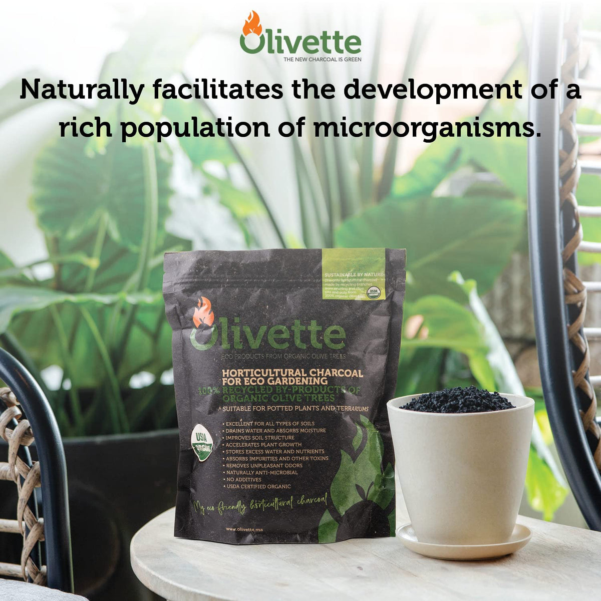 Olivette biochar reduces soil density and odors for thriving terrarium habitats.