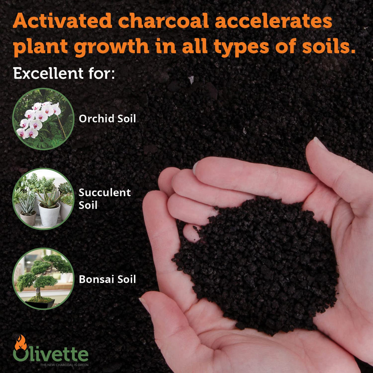 Olivette activated charcoal enhances soil aeration for healthier roots and drainage.