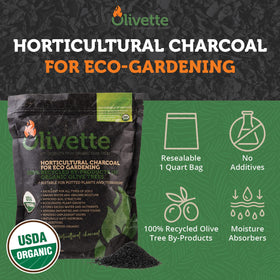Olivette biochar terrarium soil improves moisture management for terrarium trees.